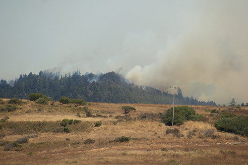 3818654951_30e48b33d9