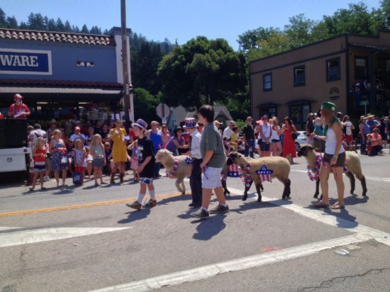Sheep In Boulder Creek