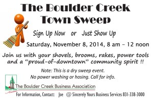 2014-11-08 Town Sweep