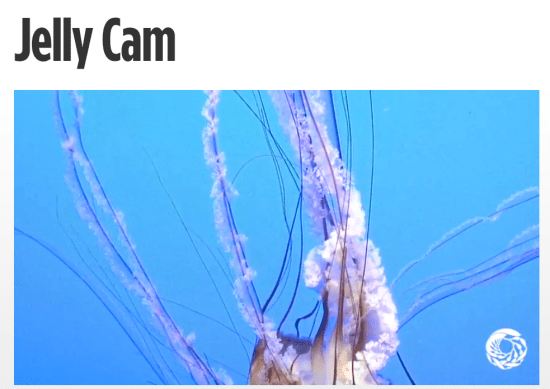 Screen Shot 2014-12-10 at 11.59.09 AM