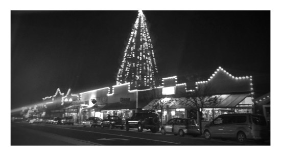 boulder-creek-christmas-2016